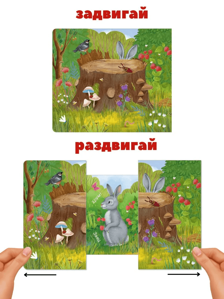 Книжки-задвижки. Кто там спрятался?