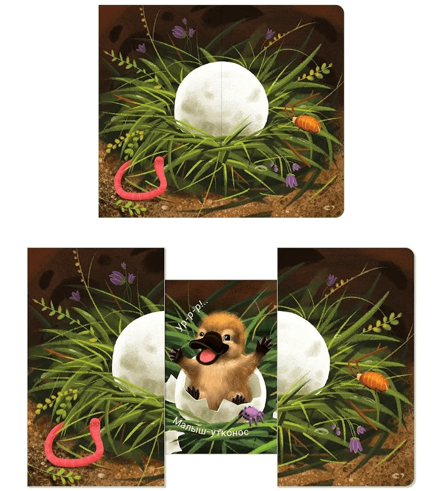 Книжки-задвижки. Кто там внутри?