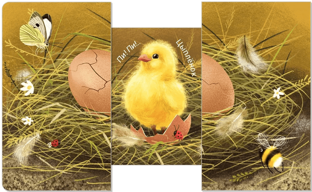 Книжки-задвижки. Кто там внутри?