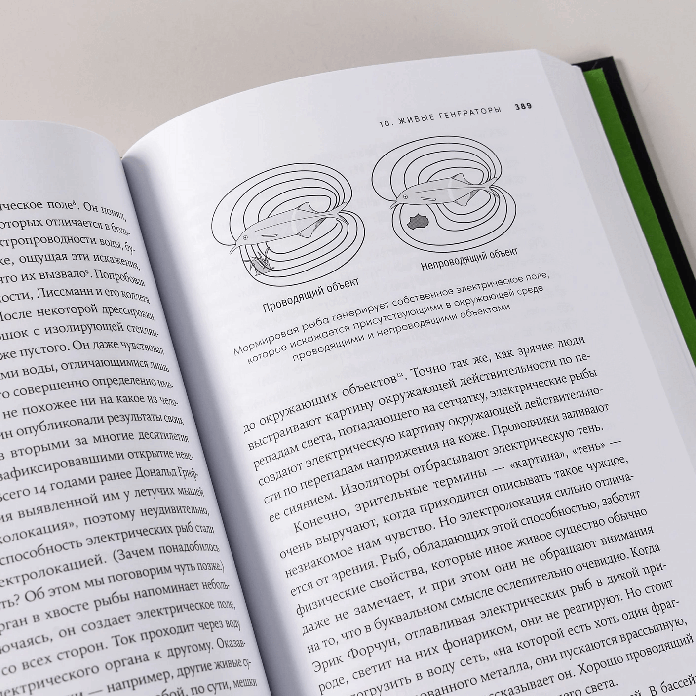 Необъятный мир: как животные ощущают скрытую от нас реальность