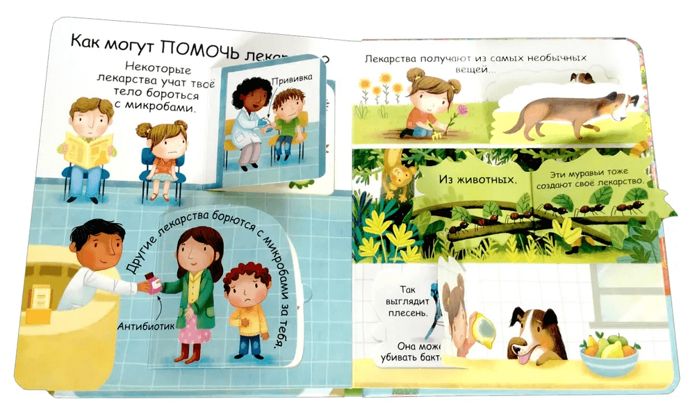 Самые первые окошки. Про микробы