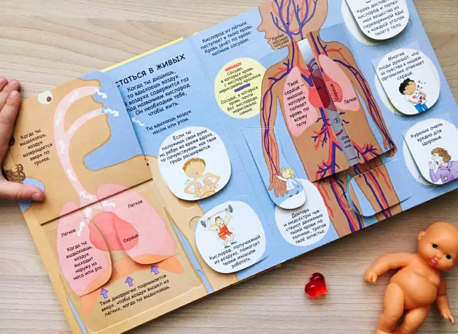 Секреты человека