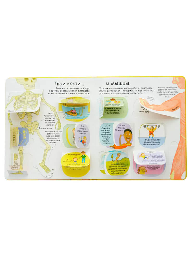 Секреты человека