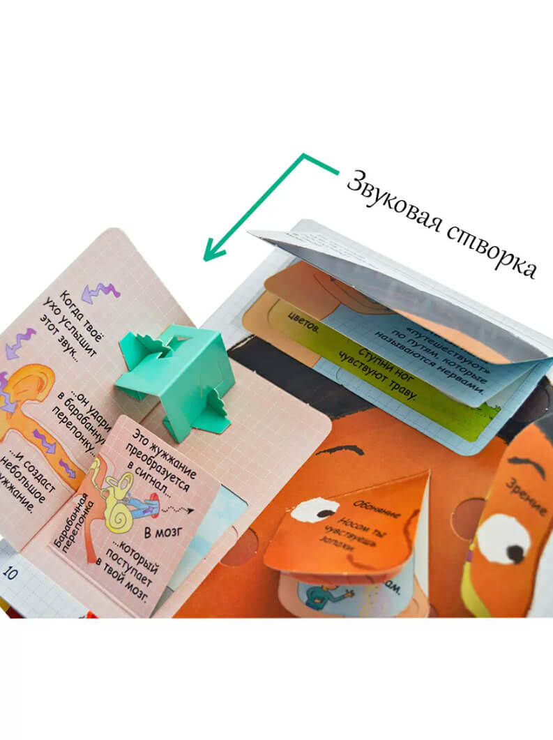 Секреты человека