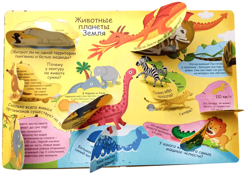 Волшебные окошки. Наша Планета