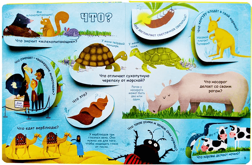Вопросы и ответы о животных