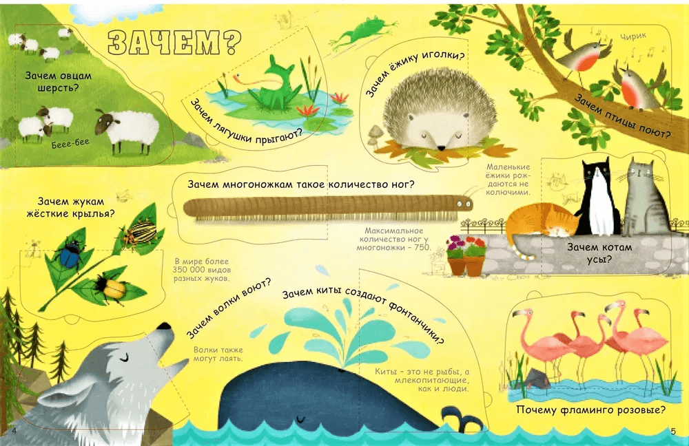 Вопросы и ответы о животных
