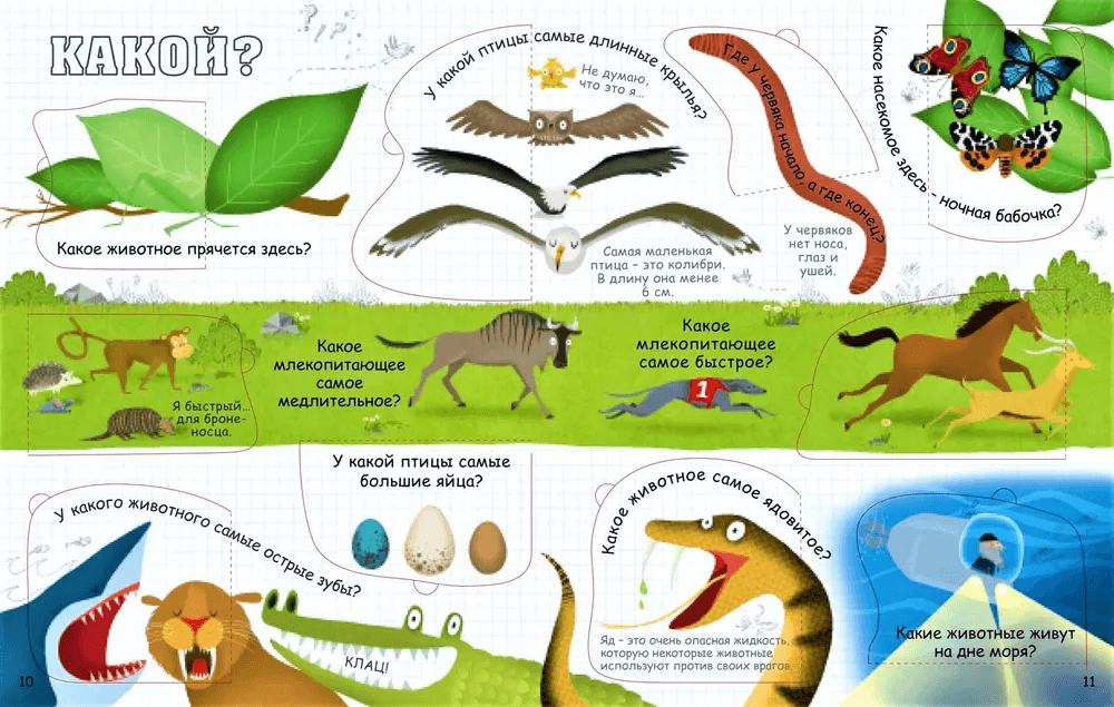 Вопросы и ответы о животных