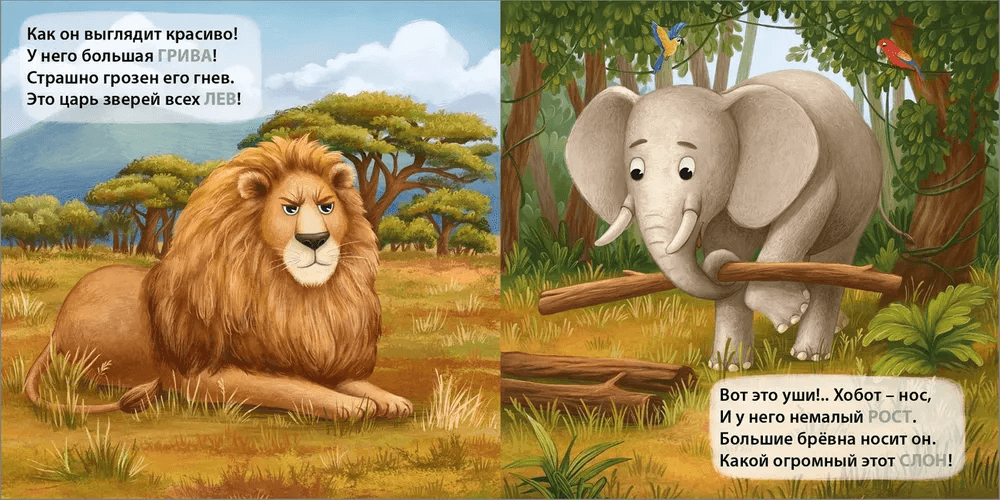 Загадки-рифмы. Дикие животные