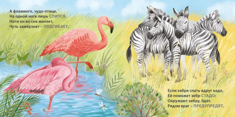 Загадки-рифмы. Кто как спит