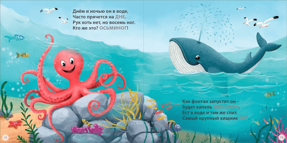 Загадки-рифмы. Подарочное издание