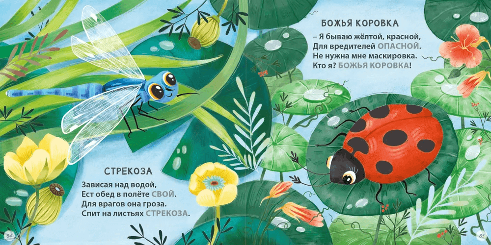 Загадки-рифмы. Подарочное издание