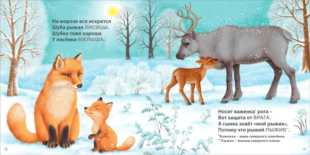 Загадки-рифмы. Подарочное издание