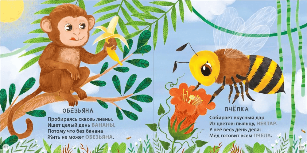 Загадки-рифмы. Подарочное издание