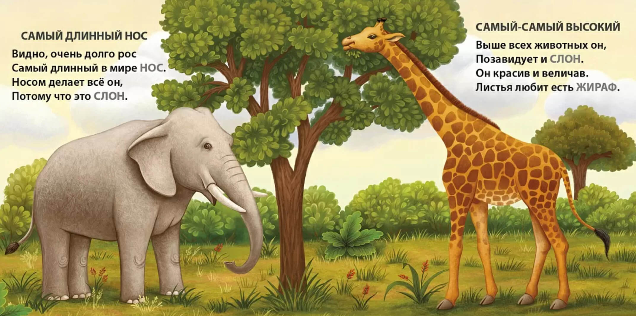 Загадки-рифмы. Самые-самые животные