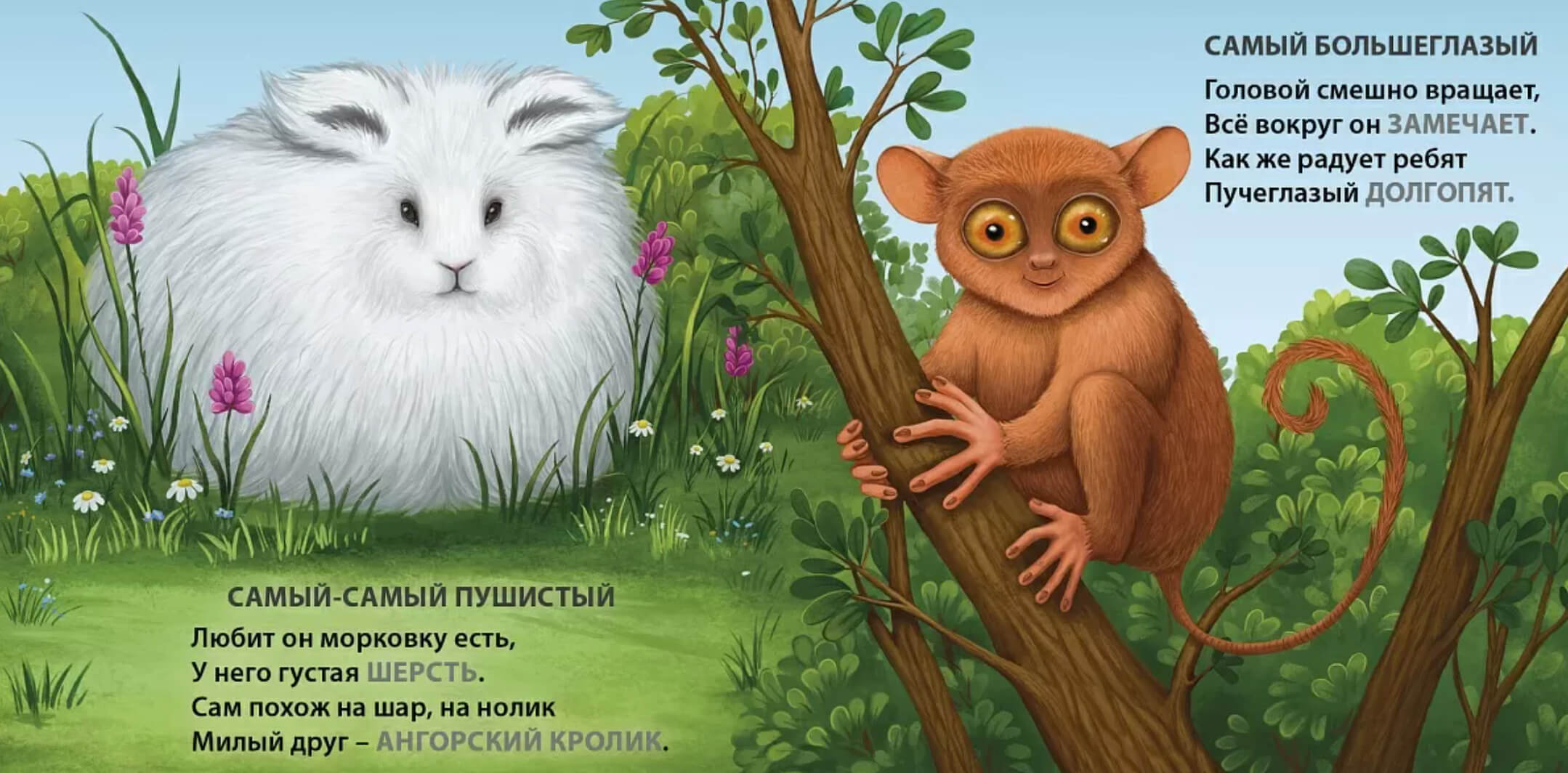 Загадки-рифмы. Самые-самые животные