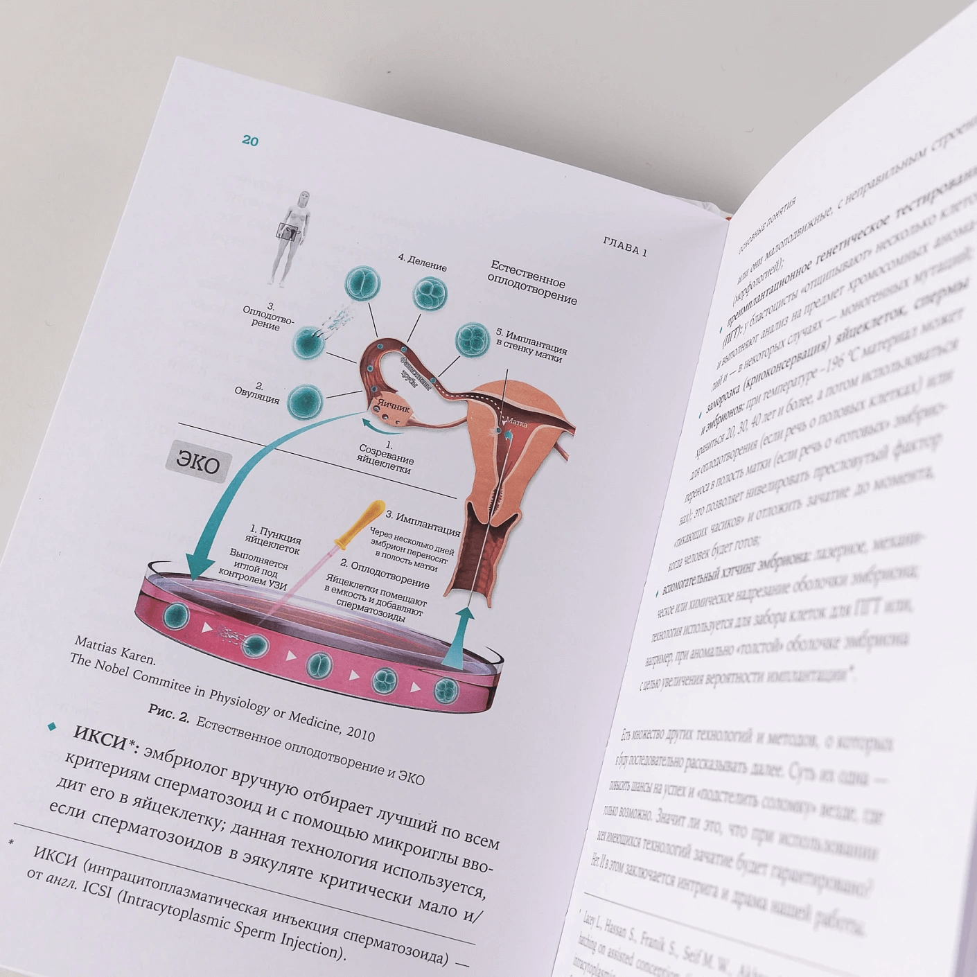 Желанный ребёнок: что делать, если не получается