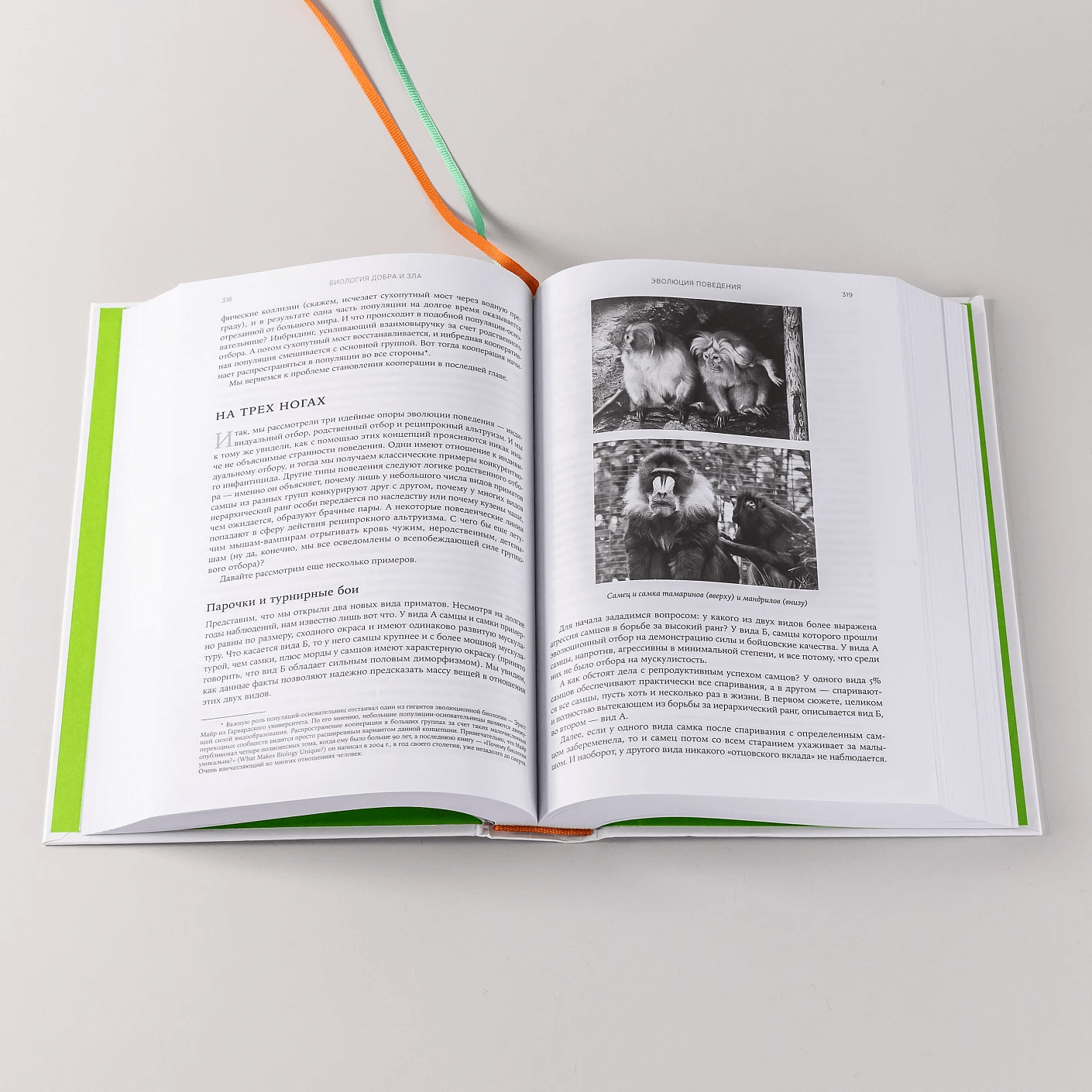 Биология добра и зла. Как наука объясняет наши поступки