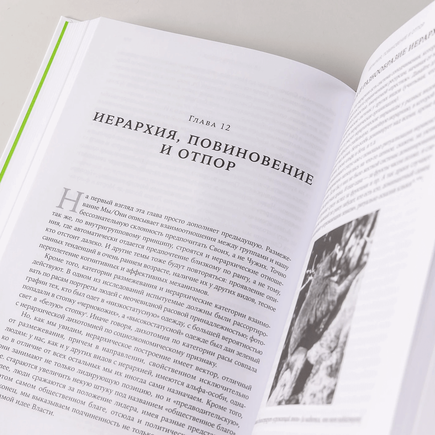 Биология добра и зла. Как наука объясняет наши поступки