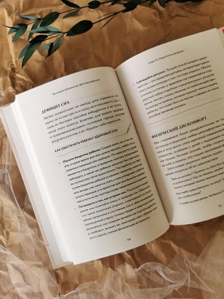 Детская агрессия