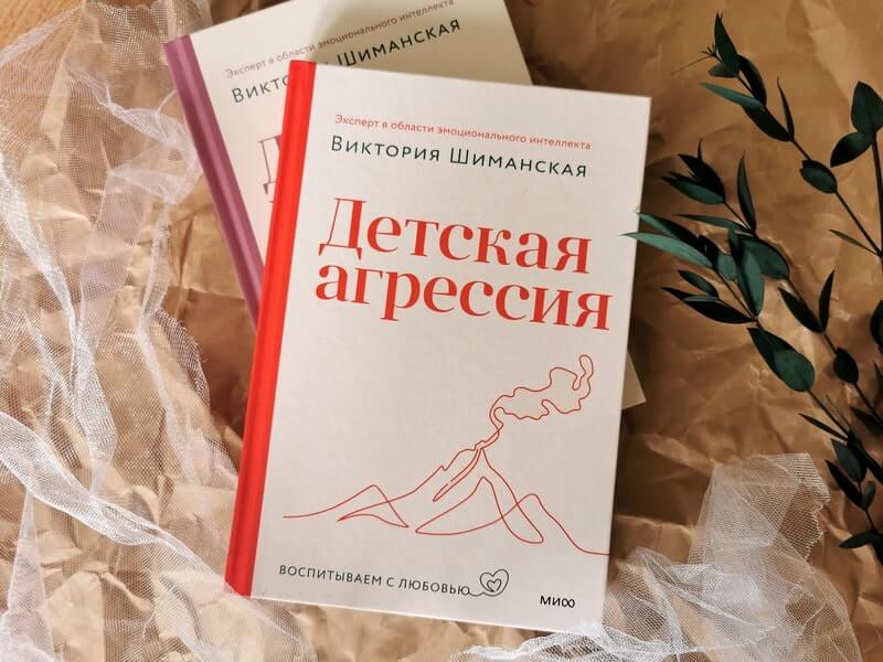 Детская агрессия