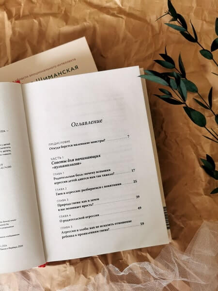 Детская агрессия