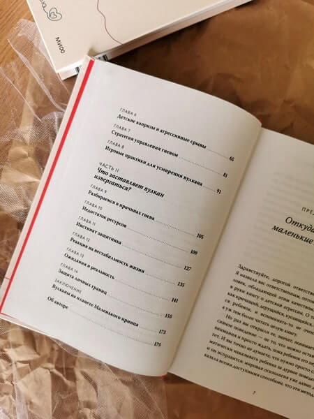 Детская агрессия