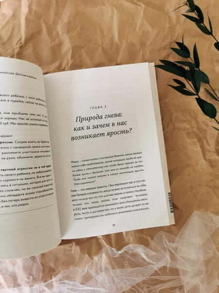 Детская агрессия