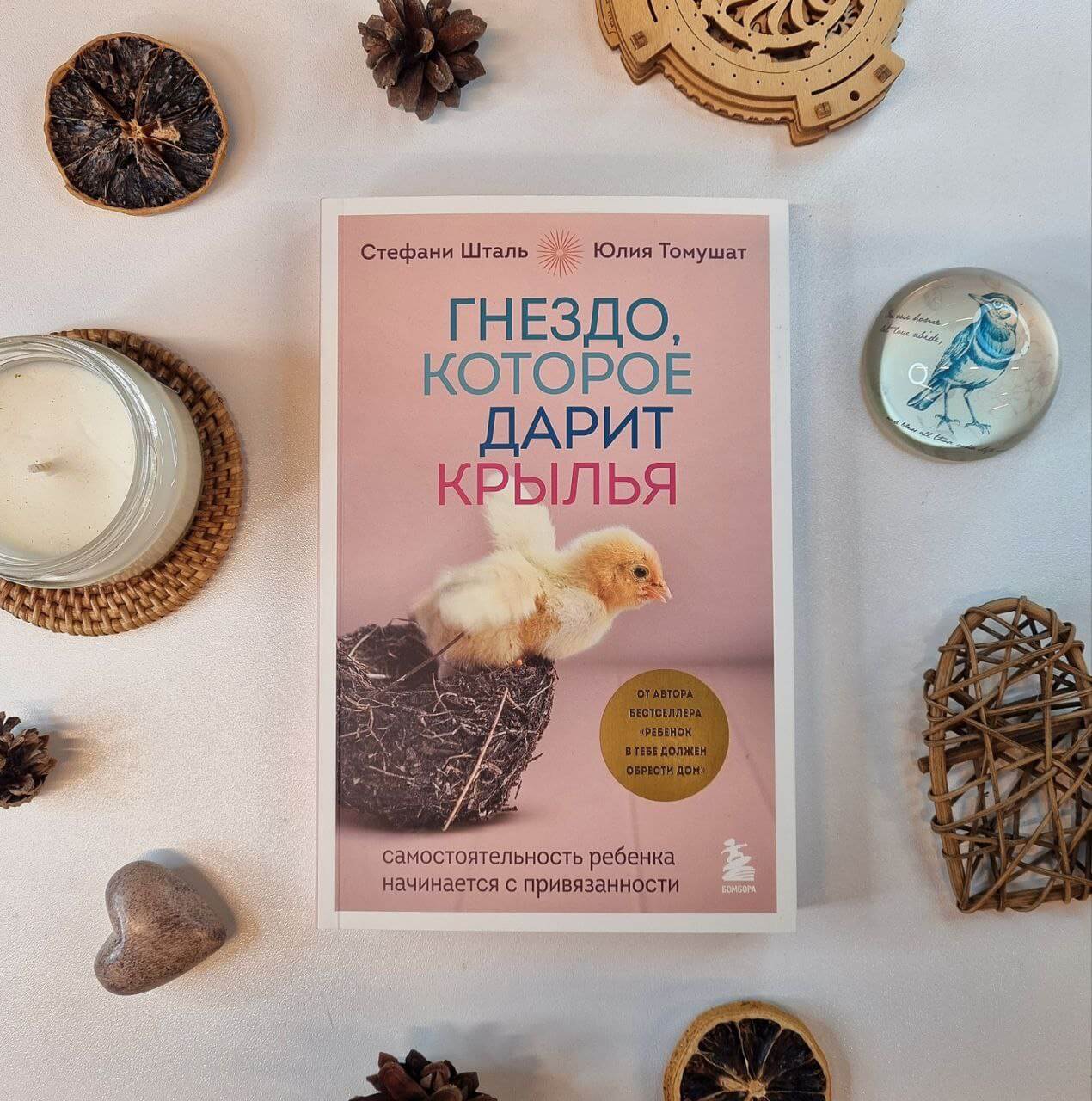 Гнездо, которое дарит крылья. Самостоятельность ребёнка начинается с привязанности