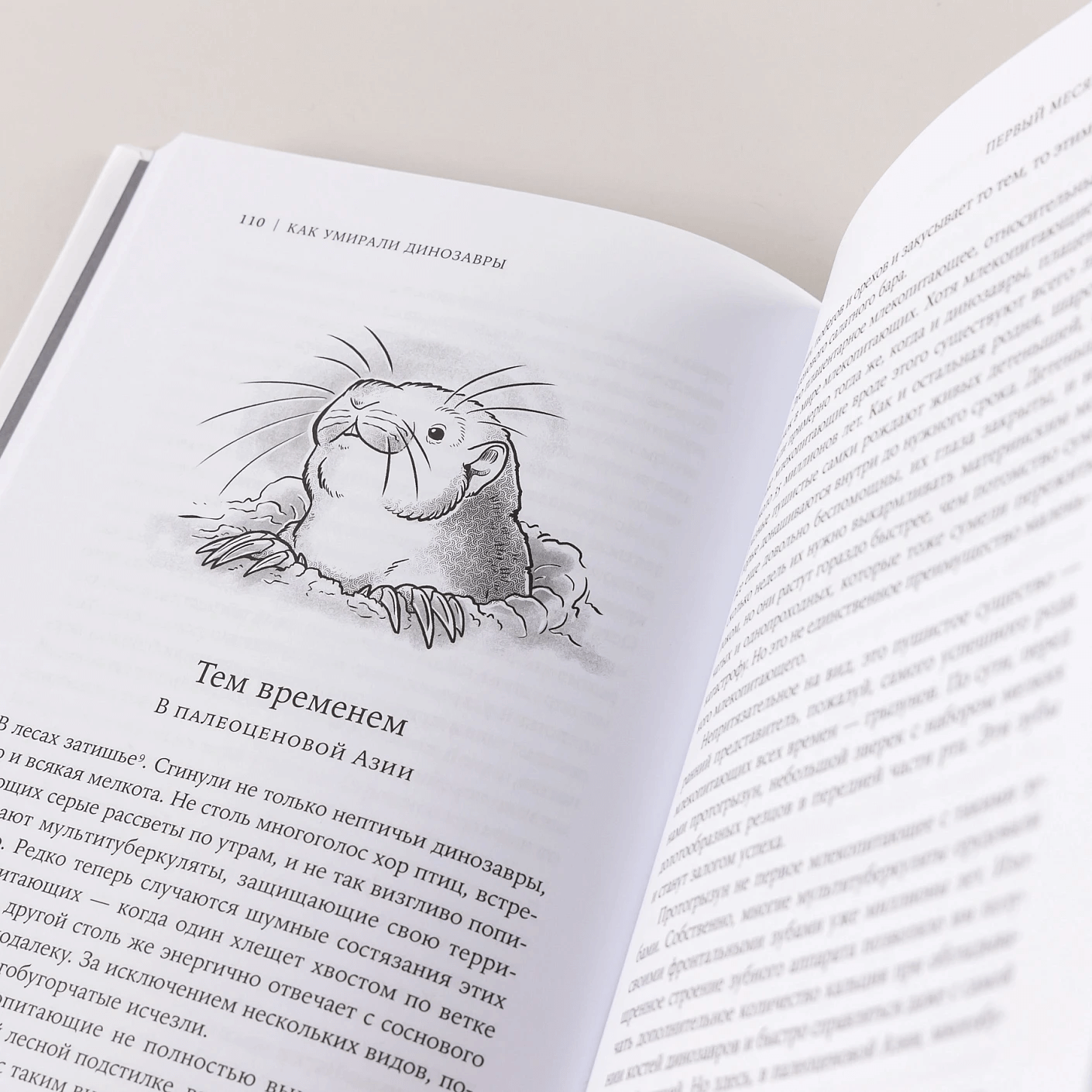 Как умирали динозавры: Убийственный астероид и рождение нового мира