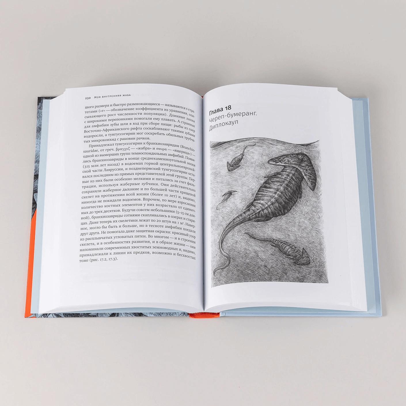 Как живые: Двуногие змеи, акулы-зомби и другие исчезнувшие животные