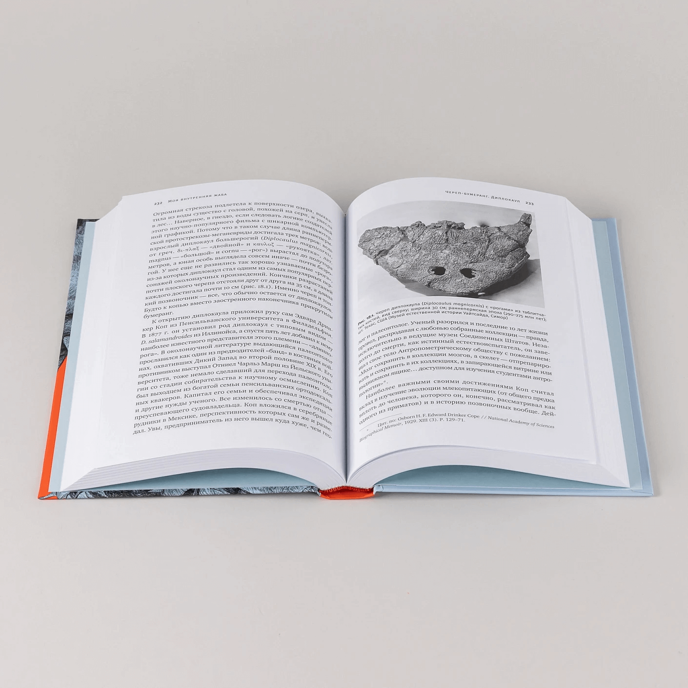 Как живые: Двуногие змеи, акулы-зомби и другие исчезнувшие животные