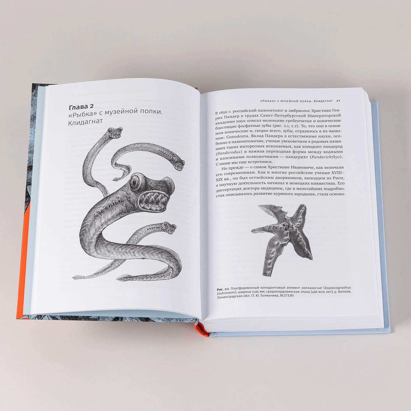 Как живые: Двуногие змеи, акулы-зомби и другие исчезнувшие животные