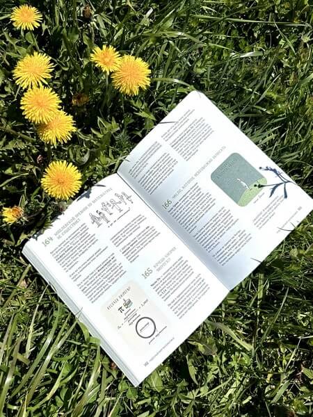 Могут ли числа быть вампирами? И ещё 320 вопросов о науке и технологиях