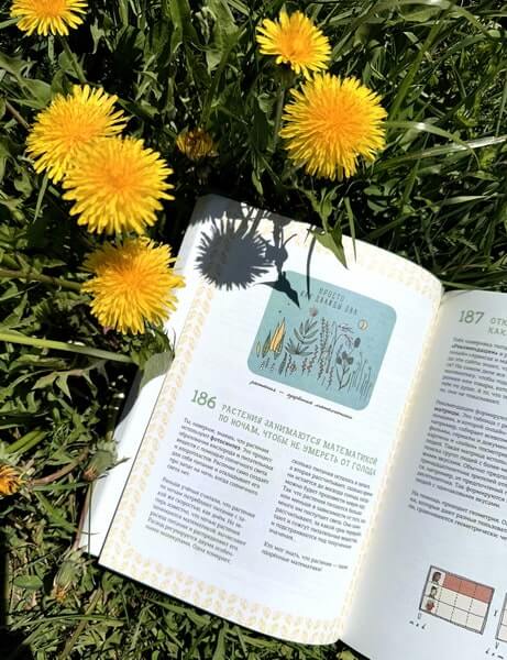 Могут ли числа быть вампирами? И ещё 320 вопросов о науке и технологиях