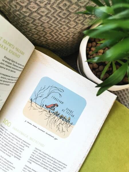 Могут ли числа быть вампирами? И ещё 320 вопросов о науке и технологиях