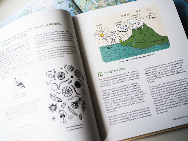 Могут ли коровы повлиять на глобальное потепление? И ещё 122 вопроса о климате и окружающей среде