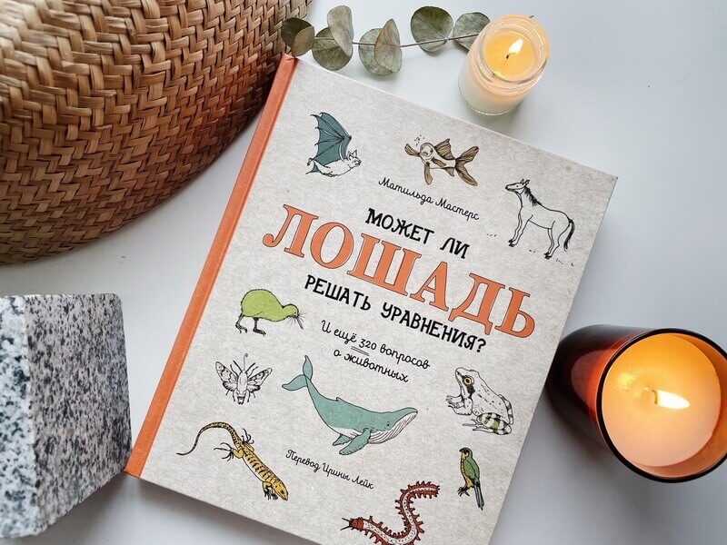 Может ли лошадь решать уравнения? И ещё 320 вопросов о животных