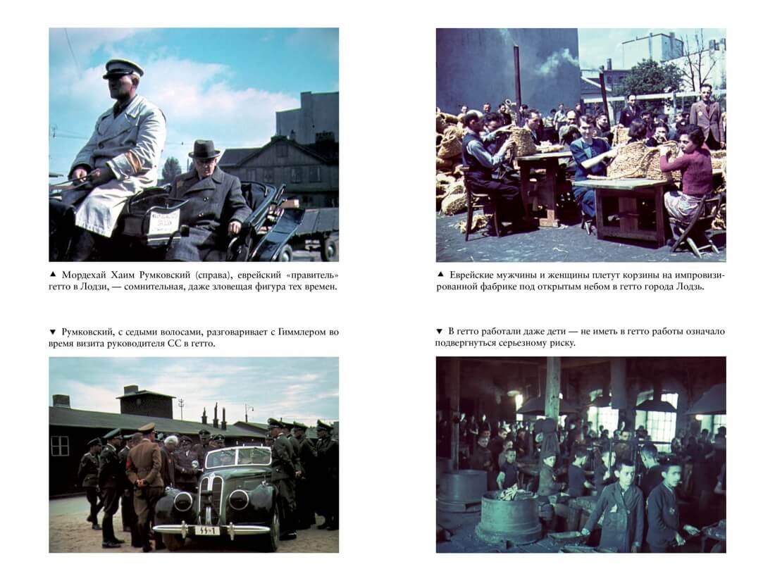 Освенцим. Нацисты и «окончательное решение еврейского вопроса»