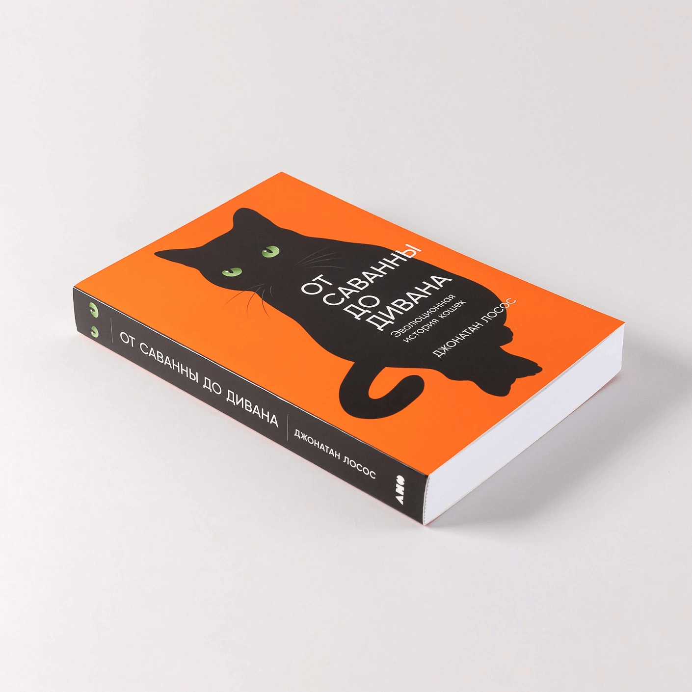 От саванны до дивана: Эволюционная история кошек