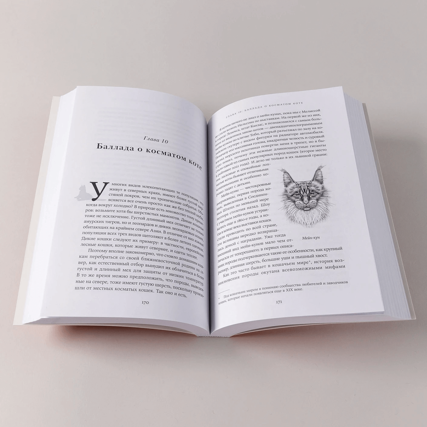 От саванны до дивана: Эволюционная история кошек