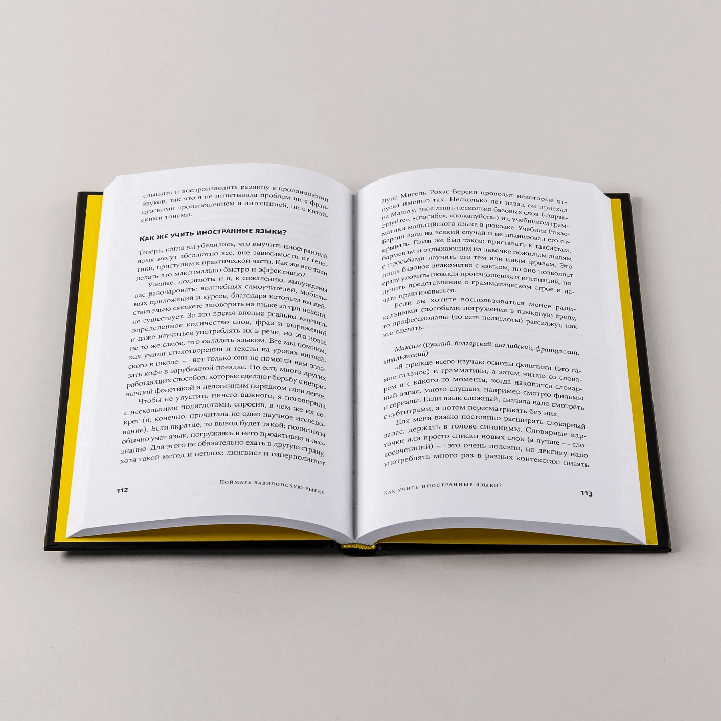 Поймать вавилонскую рыбку: Человеческий мозг, нейронные сети и изучение иностранных языков