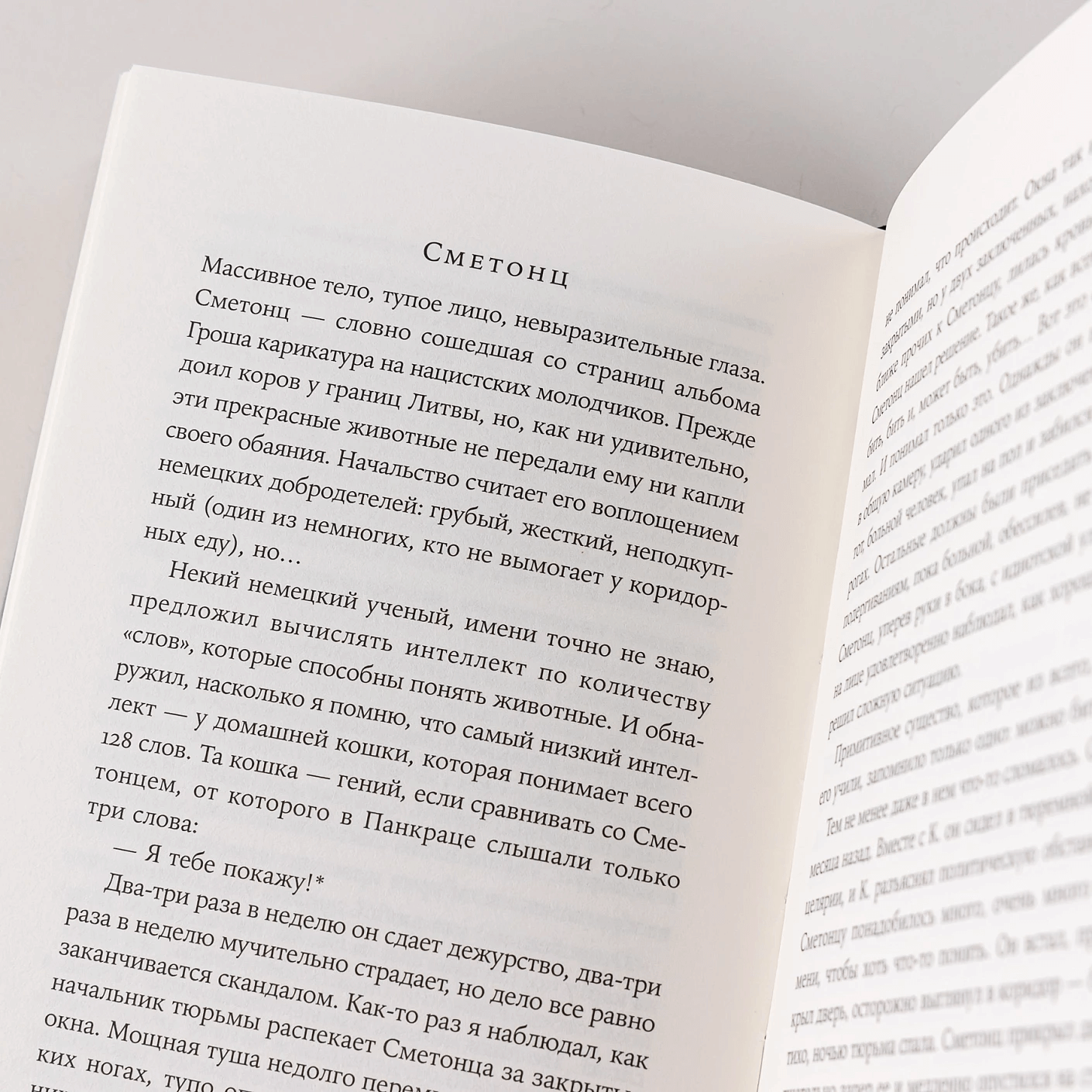 Репортаж с петлёй на шее