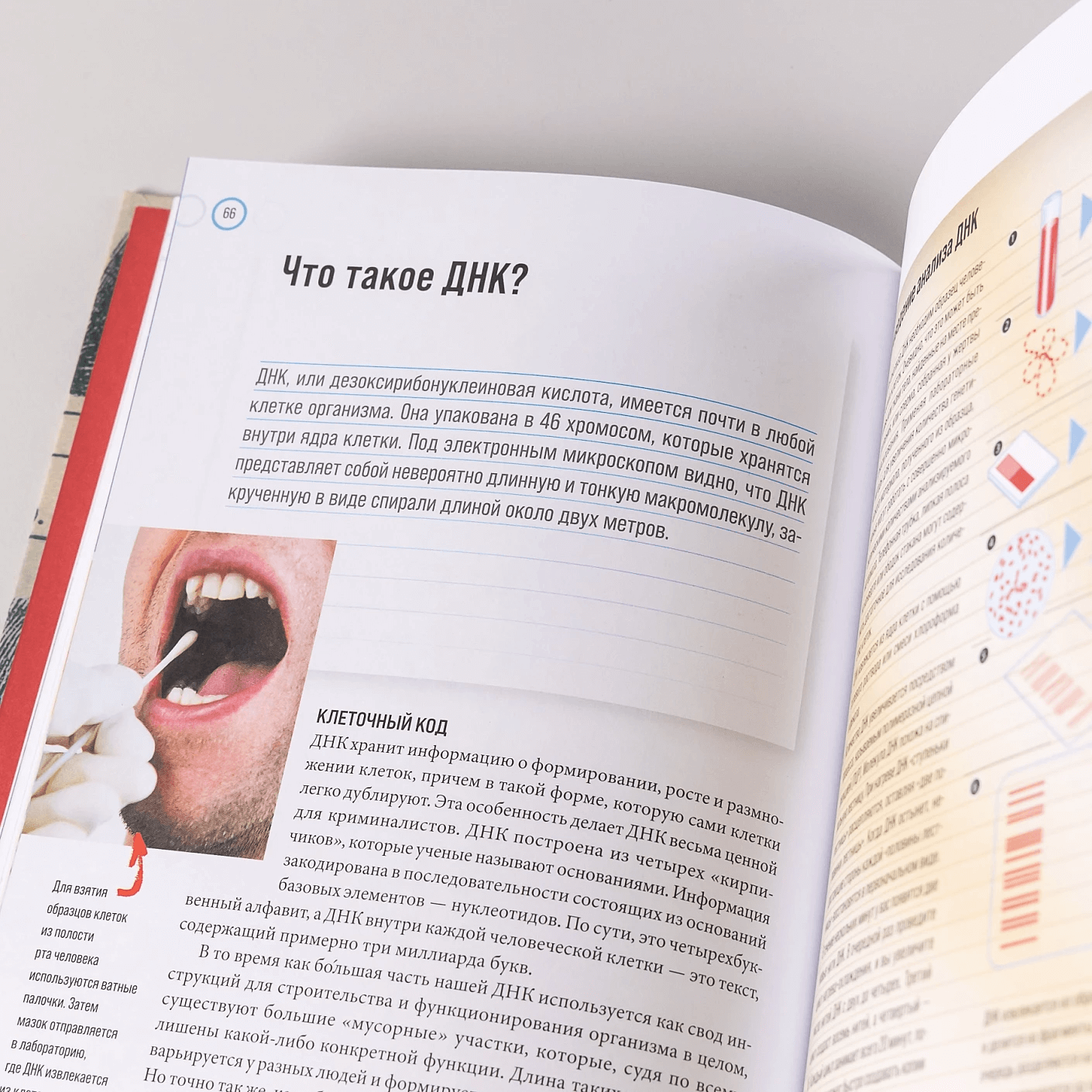 Сам или помогли? Как криминалисты раскрыли 50 «идеальных» убийств