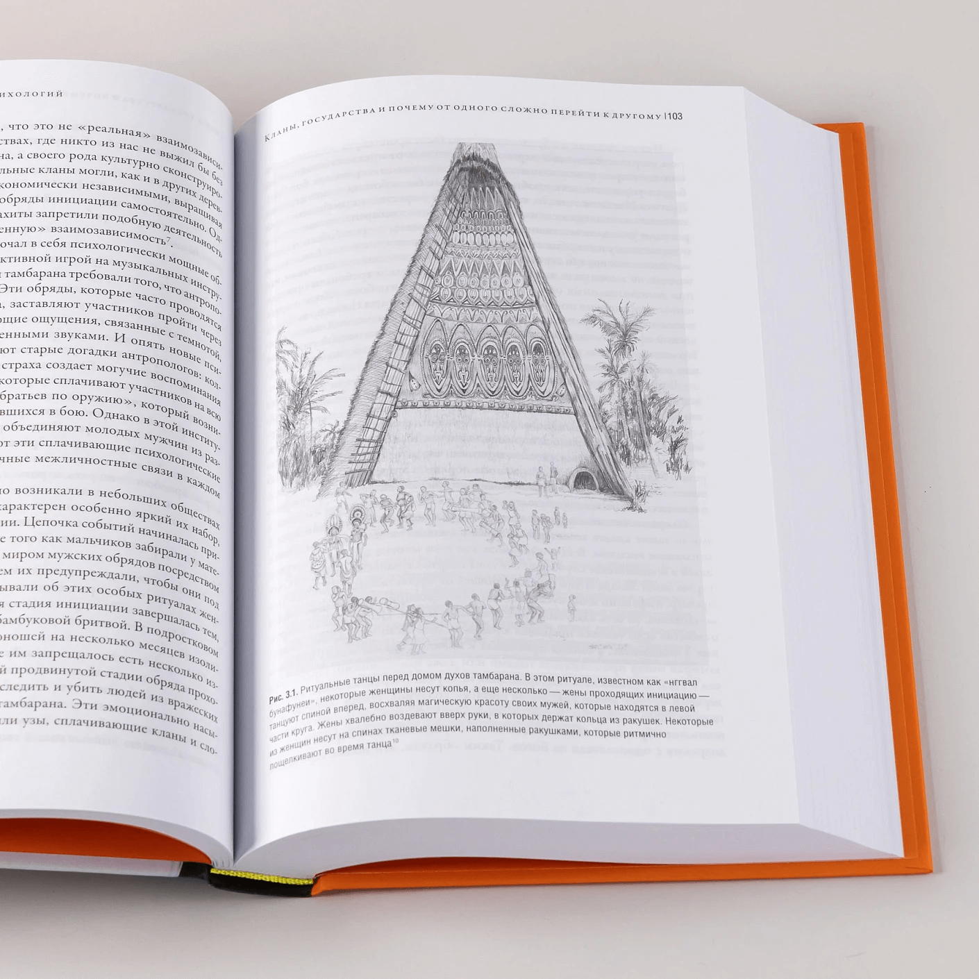 Самые странные в мире: Как люди Запада обрели психологическое своеобразие и чрезвычайно преуспели