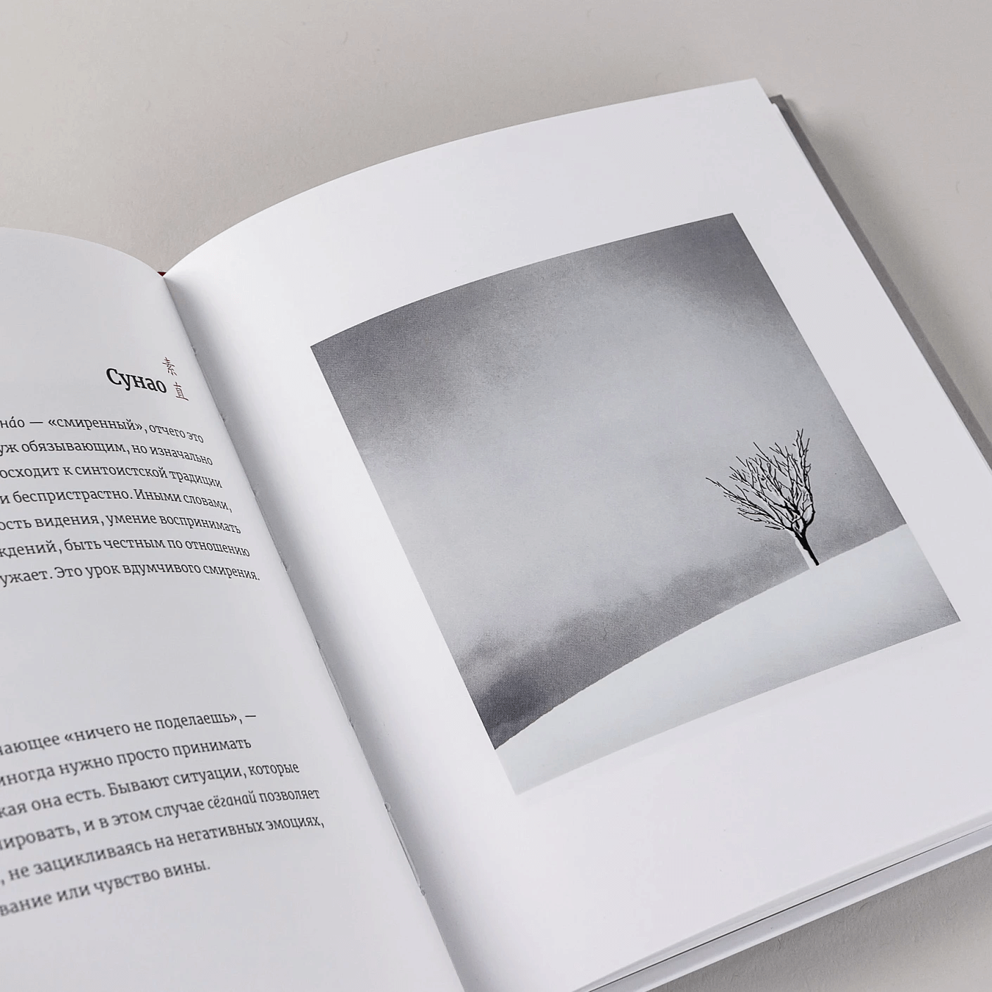 Японское искусство гармоничной жизни