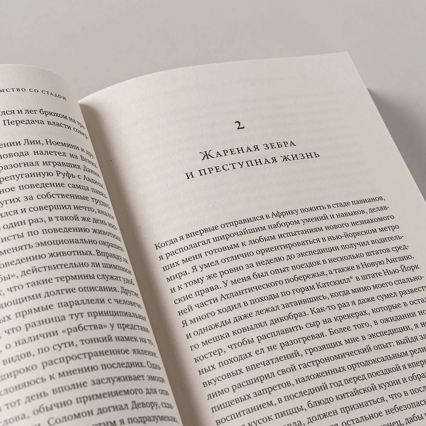 Записки примата: необычайная жизнь учёного среди павианов