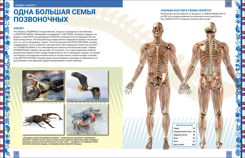 Человек. Большая энциклопедия