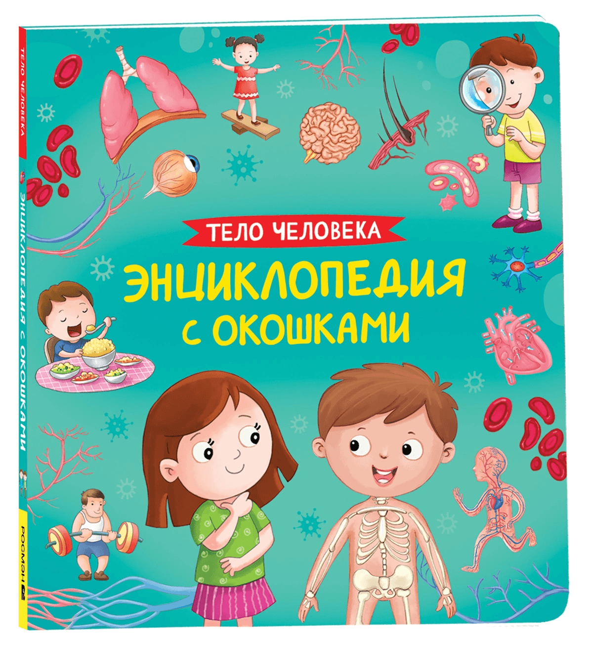 Тело человека. Энциклопедия с окошками