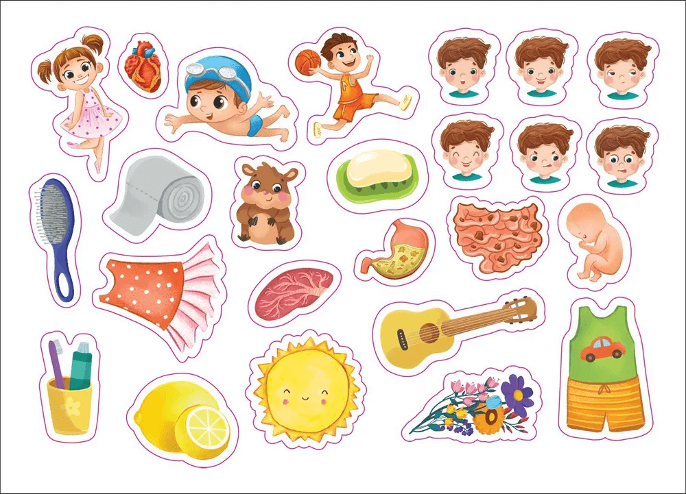 Тело человека. Книга с липучками